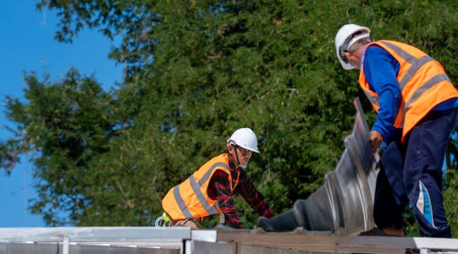 Professional gutter cleaning in Newsoms, VA